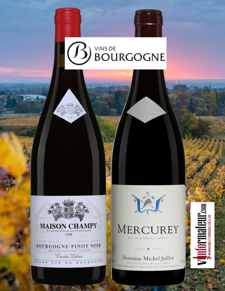 Deux très beaux vins de Bourgogne: Cuvée Edmé, Bourgogne, Maison Champy, 2022, Côte Chalonnaise, Mercurey, Domaine Michel Juillot, 2021. bouteilles