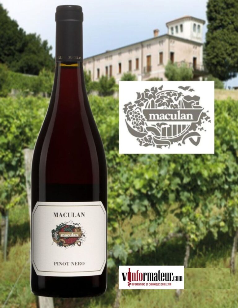 Pinot Nero, Maculan, Italie, Vénétie, Breganze DOC, vin rouge, 2022 bouteille