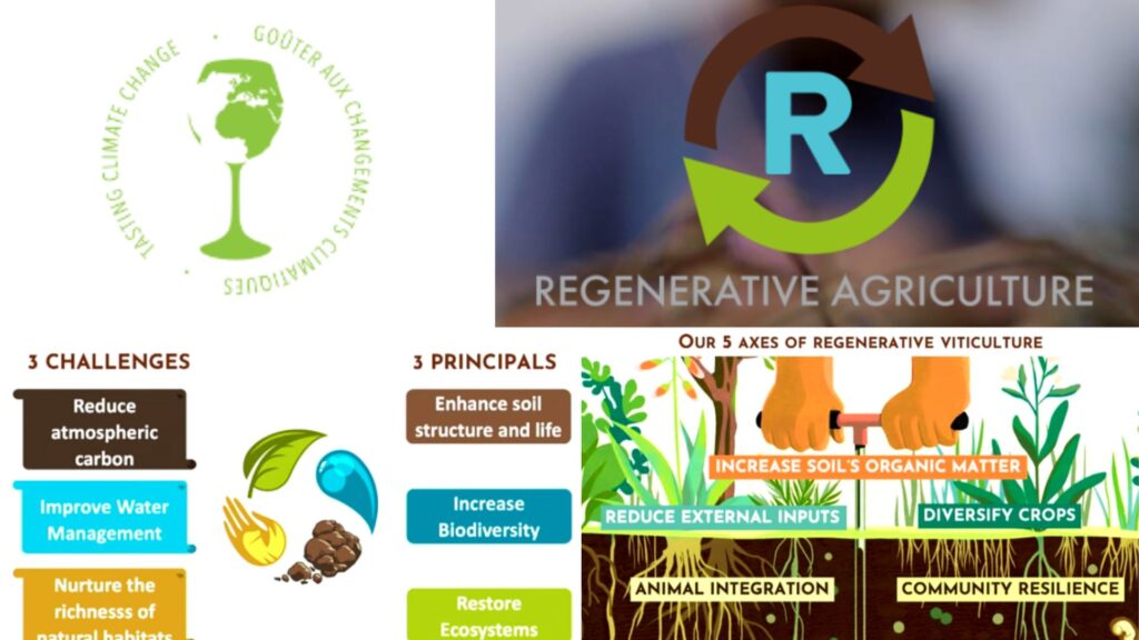 Agriculture régénérative - présentation Michel Gassier