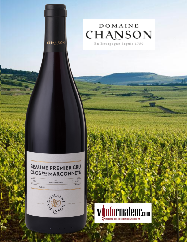 Domaine Chanson, Bourgogne, Beaune, Premier Cru, Clos des Marconnets, vin rouge, 2020 bouteille