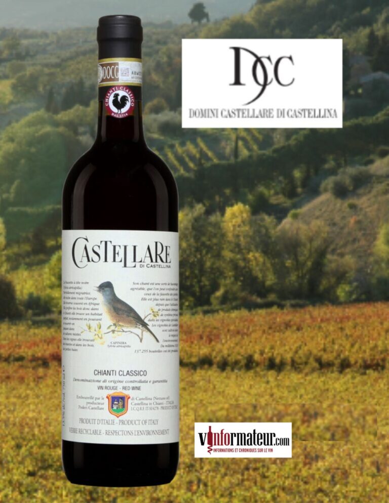 Castellare di Castellina, Chianti Classico, Toscane, vin rouge, 2021 bouteille