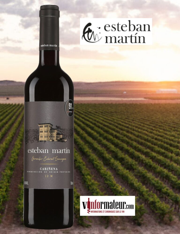 Esteban Martin, Garnacha et Cabernet-Sauvignon, Reserva, Espagne, DOP Carinena, vin rouge, 2019 bouteille