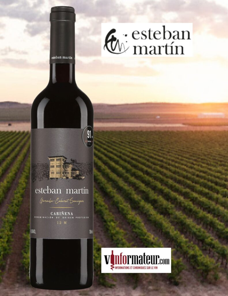 Esteban Martin, Garnacha et Cabernet-Sauvignon, Reserva, Espagne, DOP Carinena, vin rouge, 2019 bouteille