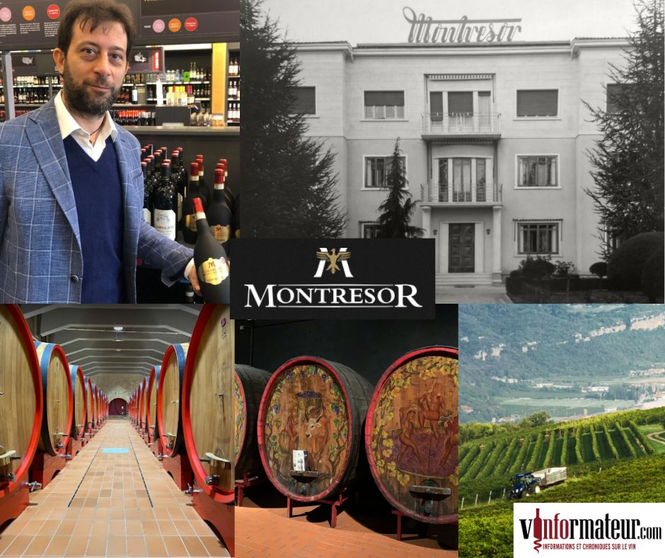 Cantine Giacomo Montresor: Edoardo Montresor ambassadeur de marque, chai et vignobles
