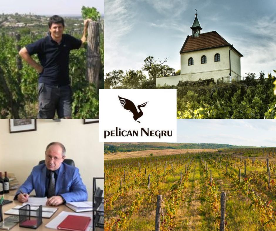 Pelican Negru: Gheorge Arpenti, Veaceslav Frunze, chai et vignobles