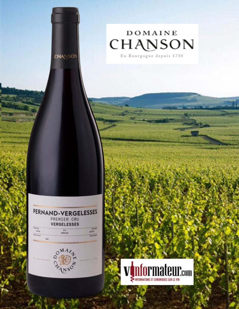 Domaine Chanson, Bourgogne, Pernand-Vergelesses, Premier Cru, Les Vergelesses, vin rouge, 2020 bouteille
