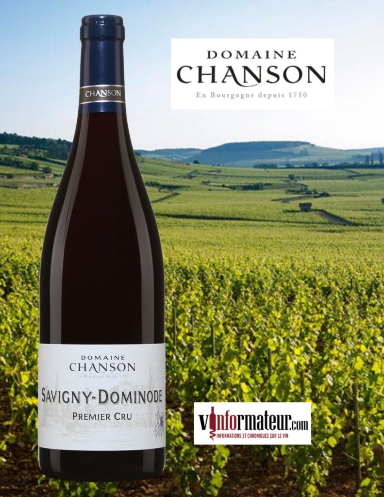 Domaine Chanson, Bourgogne, Savigny-Dominode, Premier Cru, vin rouge, 2017 bouteille