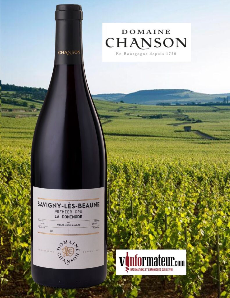 Domaine Chanson, Bourgogne, Savigny-Lès-Beaune, Premier Cru, La Dominode, vin rouge, 2020 bouteille