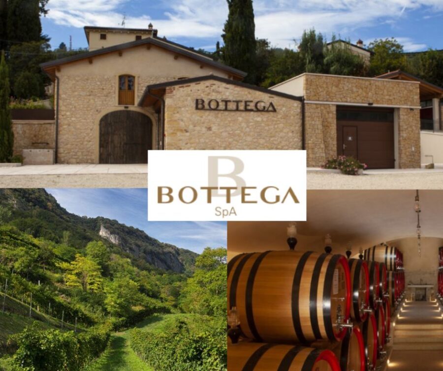 Bottega Spa: chai et vignobles