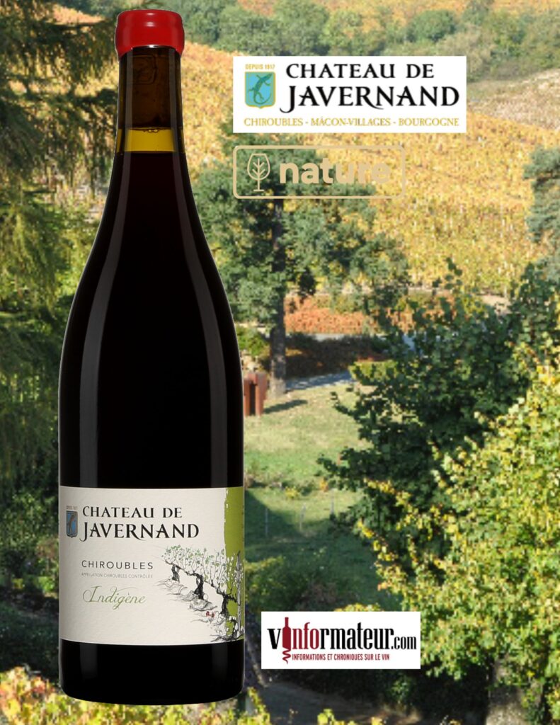 Château de Javernand, Cuvée Indigène, France, Beaujolais, Chiroubles AOC, vin rouge nature, 2021 bouteille