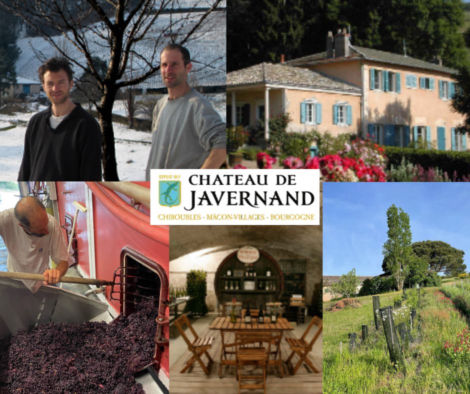 Château de Javernand: Pierre Prost, Arthur Fourneau, chai, salle de dégustation, vignobles.