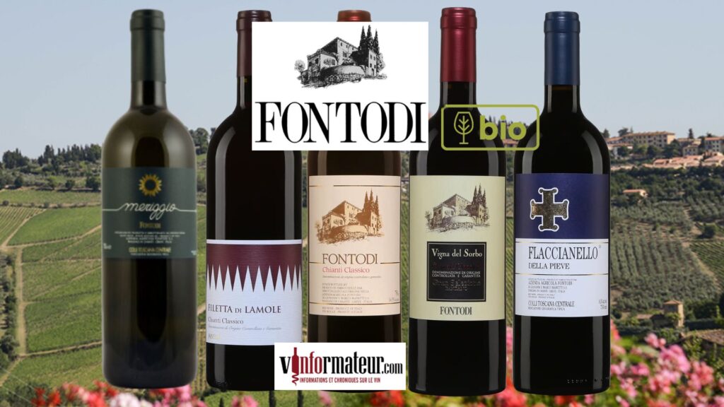 Les vins de la maison Fontodi! Parmi les meilleurs producteurs de Toscane et de Chianti Classico DOCG!