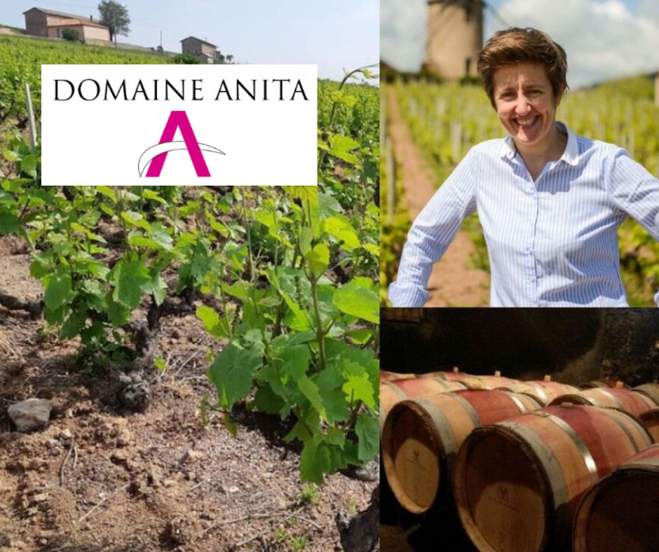 Domaine Anita: Anita Kuhnel, chai et vignobles