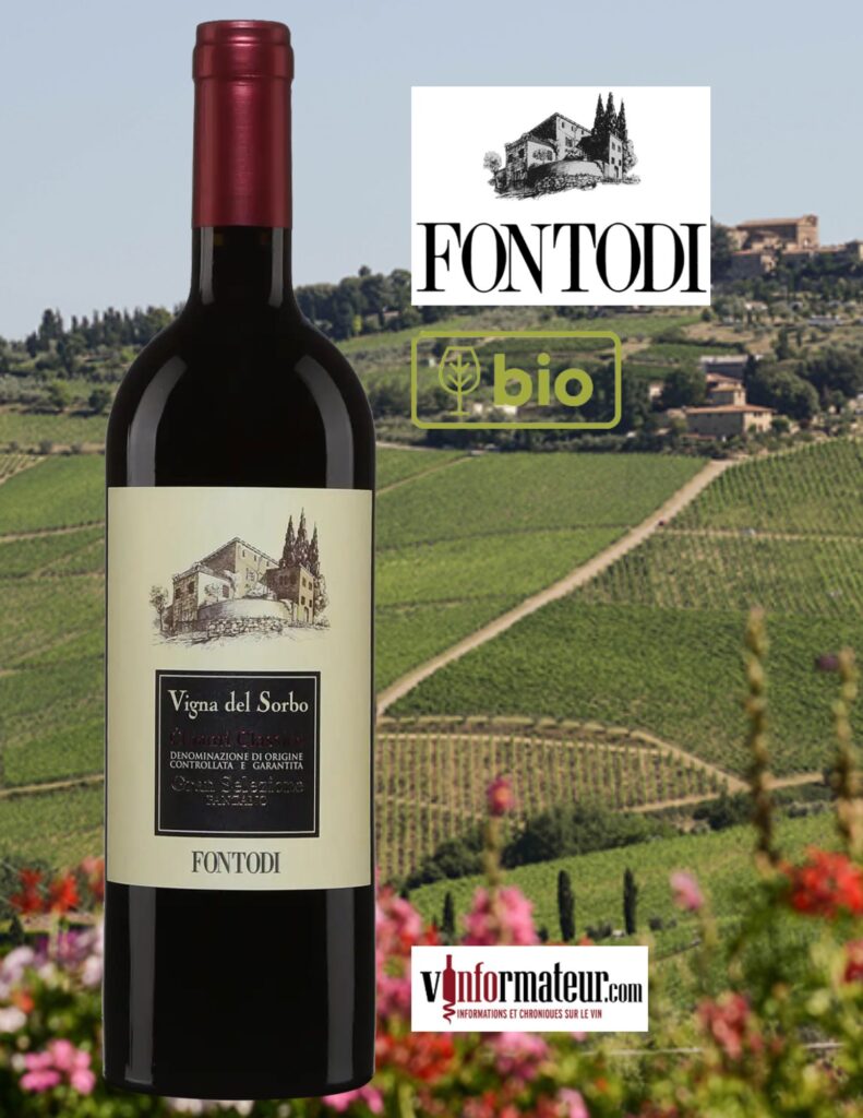 Fontodi, Chianti Classico Gran Selezione DOCG, Vigna del Sorbo, vin rouge bio, 2020 bouteille
