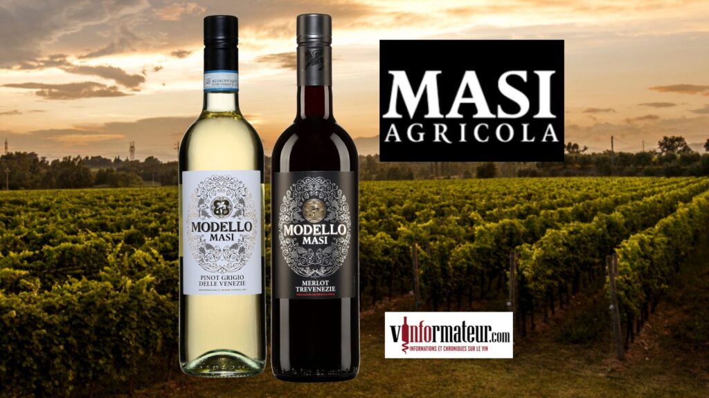 Masi Agricola: Pinot Grigio delle Venezie, Merlot, Italie, Frioul-Vénétie Julienne – Trevenezie, 15,45$. bouteilles