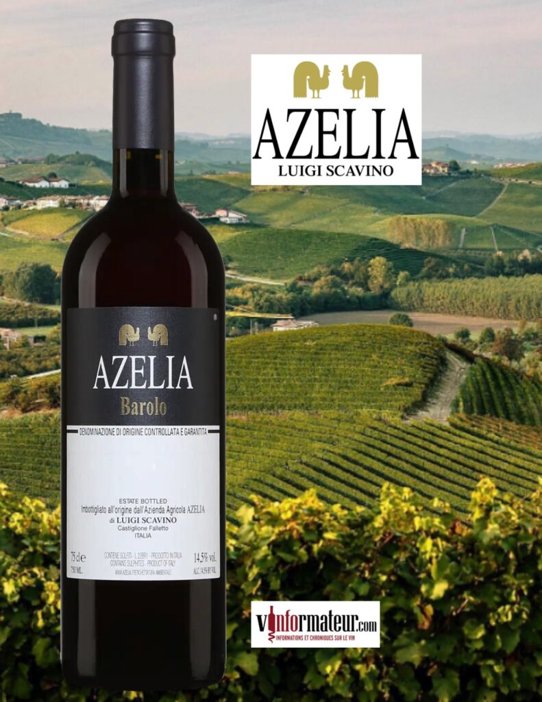Azelia, Barolo DOCG, vin rouge, 2019 bouteille