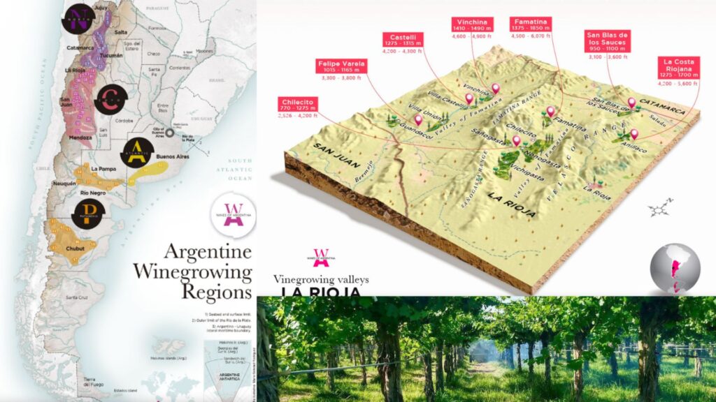 Carte viticole Argentine, La Rioja