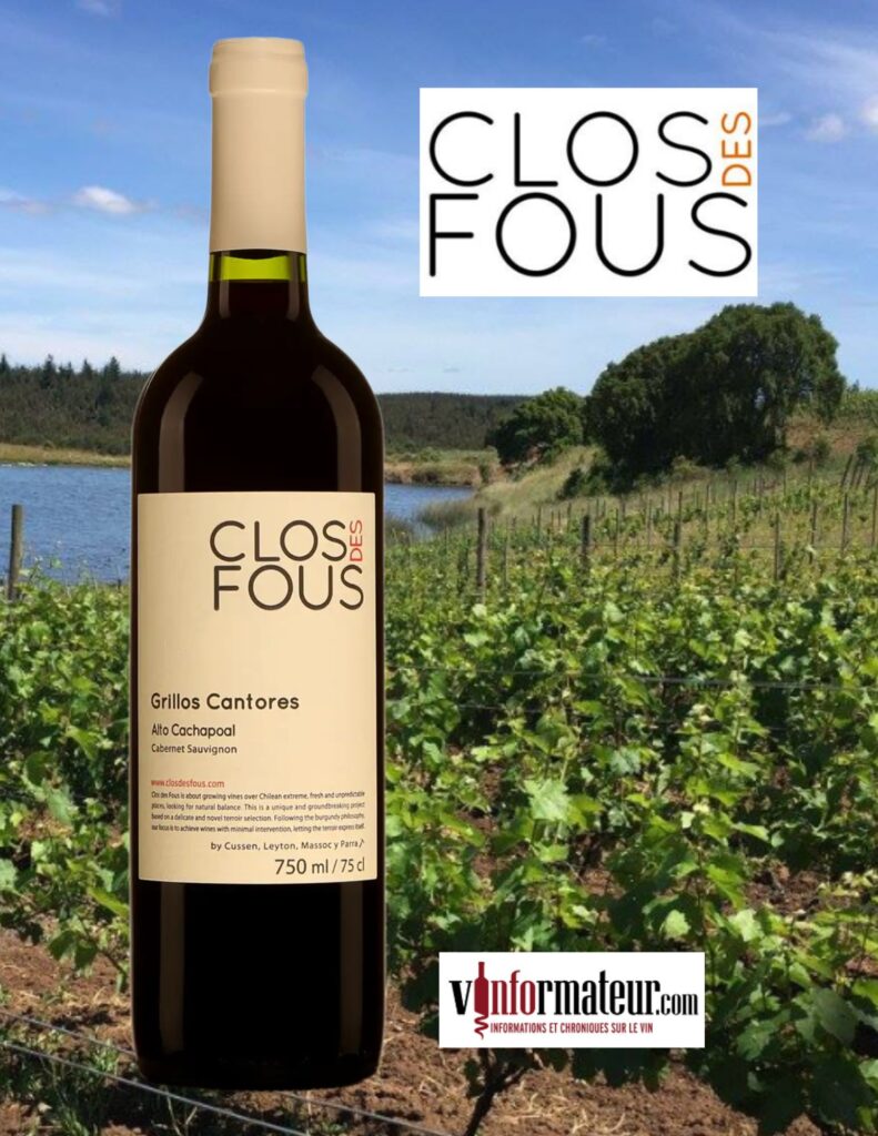 Clos des Fous, Cabernet-Sauvignon, Grillos Cantores, Chili, Valle Central, Alto Cachapoal, vin rouge, 2015 bouteille