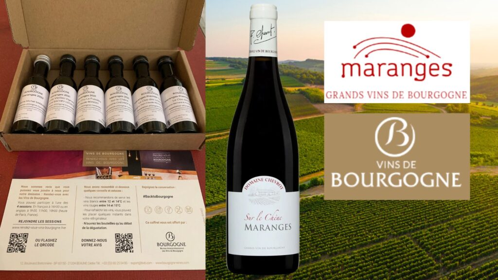 Dégustation des vins des Maranges Bourgogne bouteilles