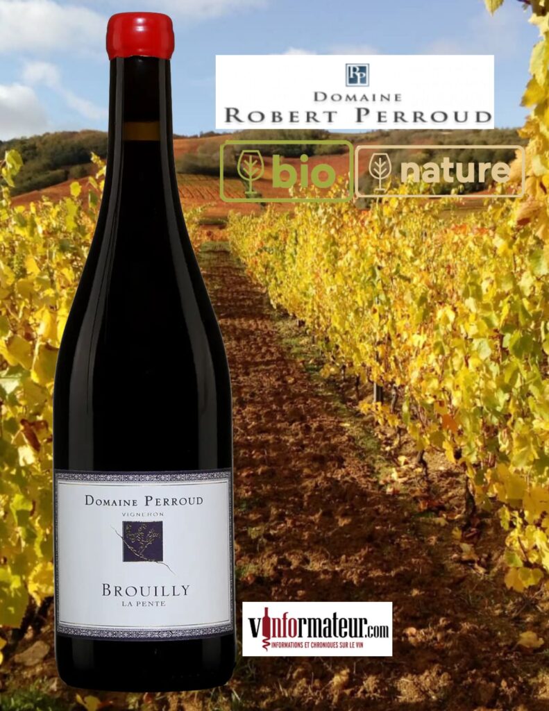 Domaine Robert Perroud, Beaujolais, Brouilly, Cuvée Les Pentes, vin rouge bio, 2022 bouteille