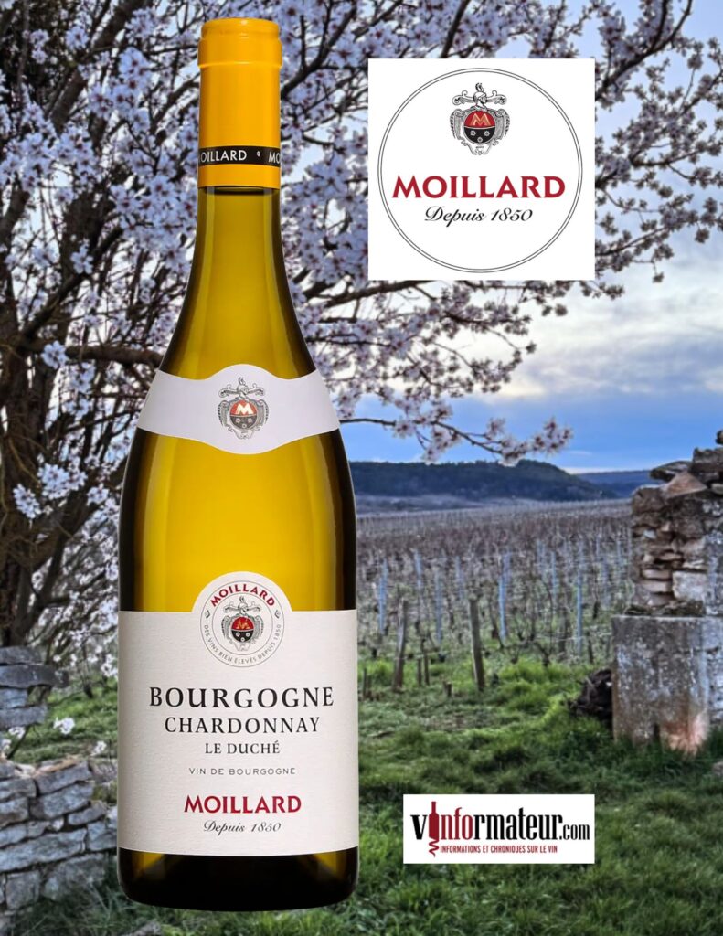 Moillard, Chardonnay, Bourgogne, le Duché, vin blanc, 2022 bouteille
