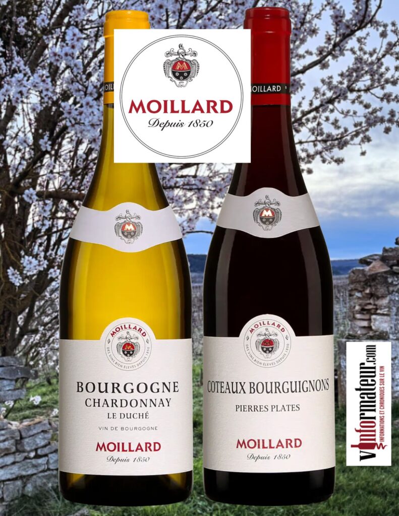 Chardonnay et Gamay Côteaux Bourguignons de la maison Moillard bouteilles
