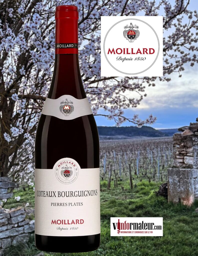 Moillard, Côteaux Bourguignons, Pierres Plates, 2022 bouteille