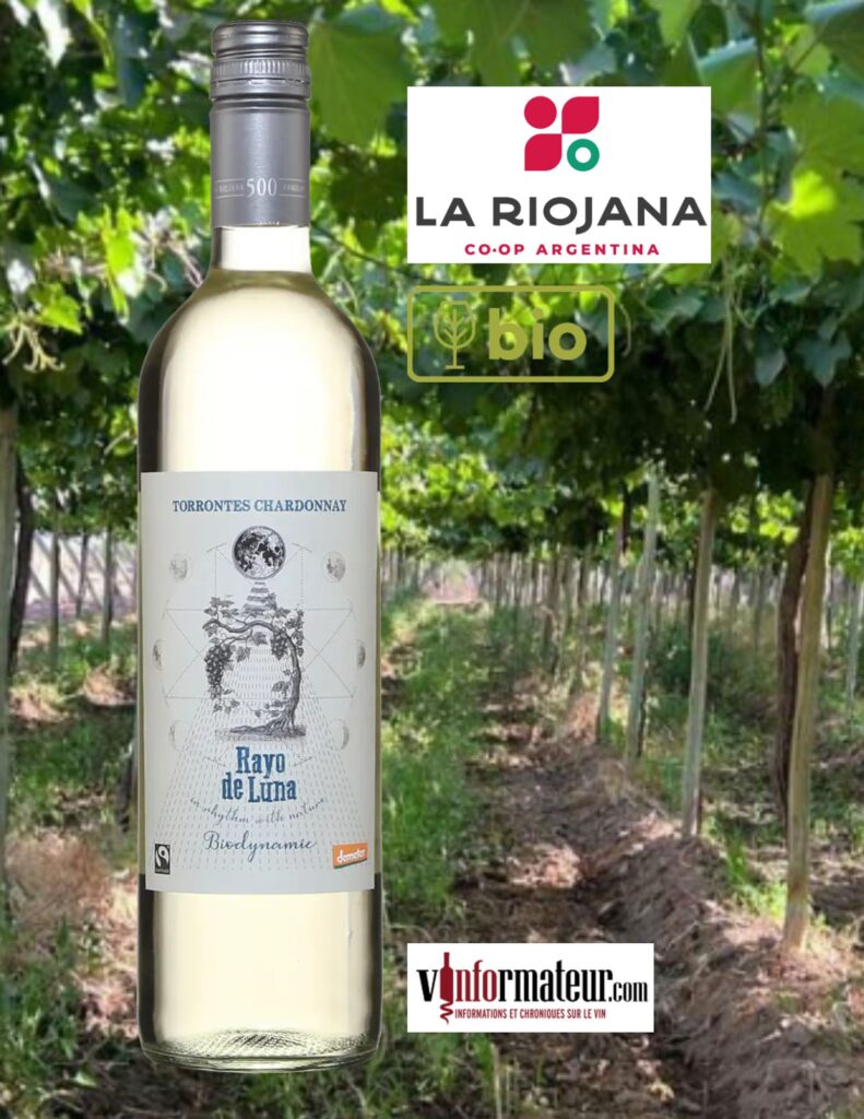 Rayo de Luna, Torrontes et Chardonnay, Argentine, La Rioja, vin blanc bio/biodynamie, 2022 bouteille