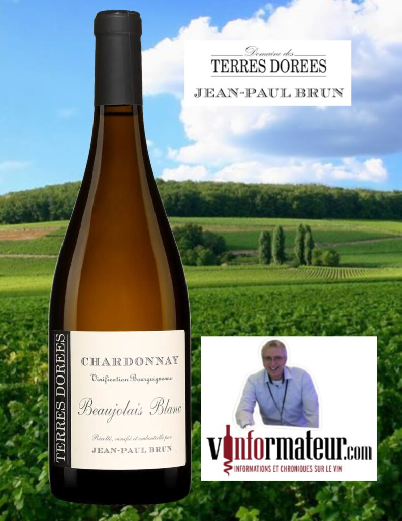 Beaujolais blanc, Chardonnay, Jean-Paul Brun, Domaine des Terres Dorées, vin blanc, 2022 bouteille