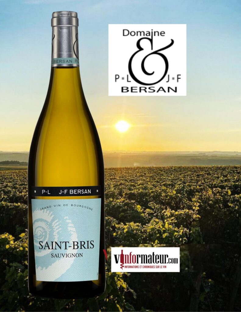 Sauvignon, Saint-Bris, France, Bourgogne et Grand Auxerrois, PL et JF Bersan, vin blanc, 2018 bouteille