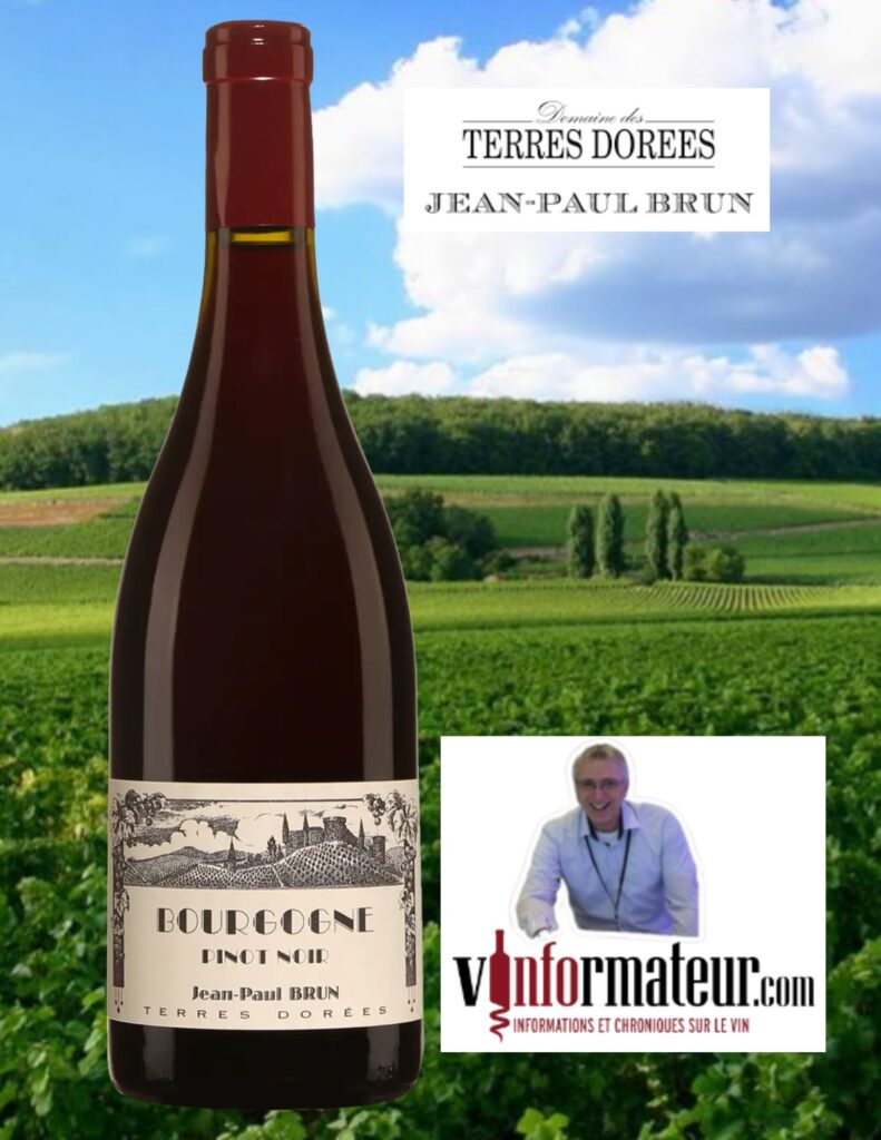 Pinot Noir, Bourgogne, Jean-Paul Brun, Domaine des Terres Dorées, vin rouge, 2022 bouteille