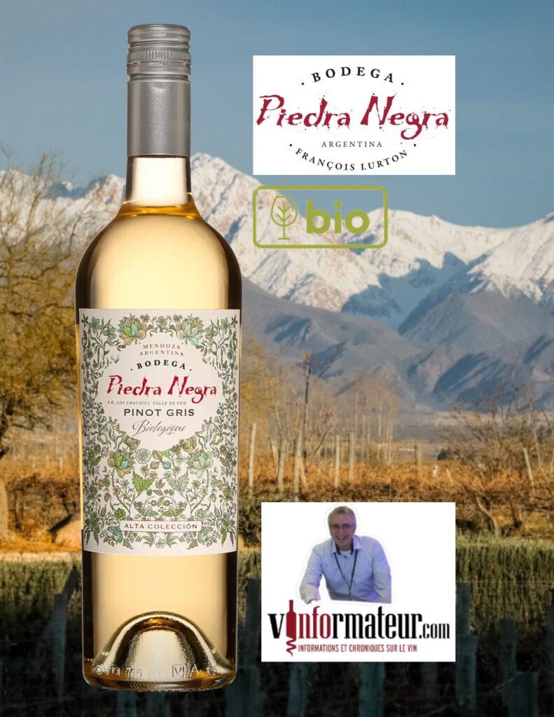 Piedra Negra, Pinot Gris Reserve, Argentine, Valle de Uco, Los Chacayes IG, Bodega Piedra Negra, François Lurton, vin blanc bio, 2023 bouteille