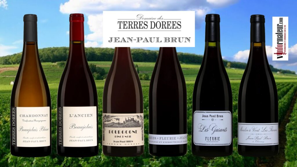 Dégustation des vins de Jean-Paul Brun, Domaine des Terres Dorées en Beaujolais.  bouteilles