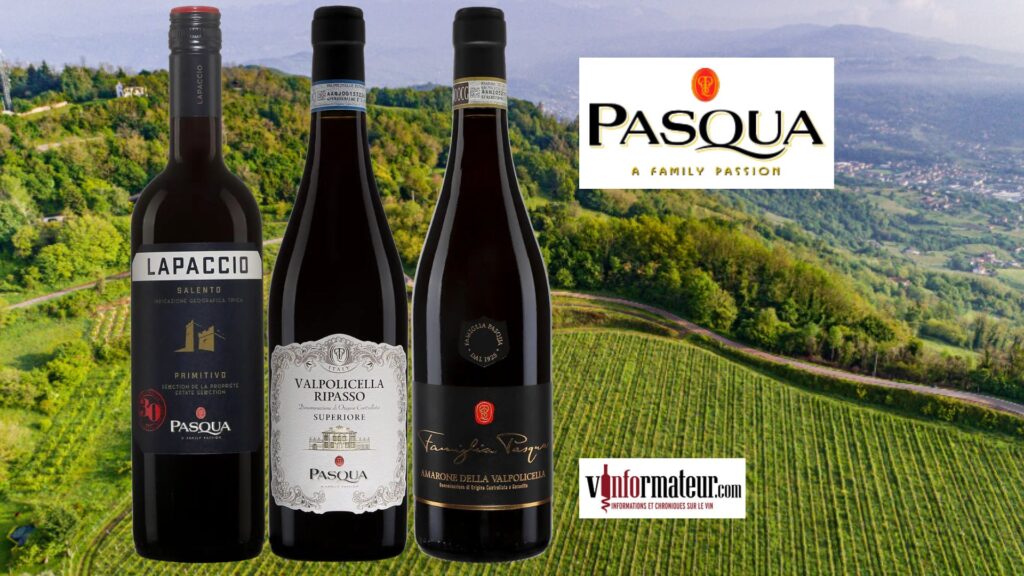 Trois vins de Famiglia Pasqua: Lapaccio 2022, Ripasso Superiore 2021 et Amarone 2019.  bouteilles