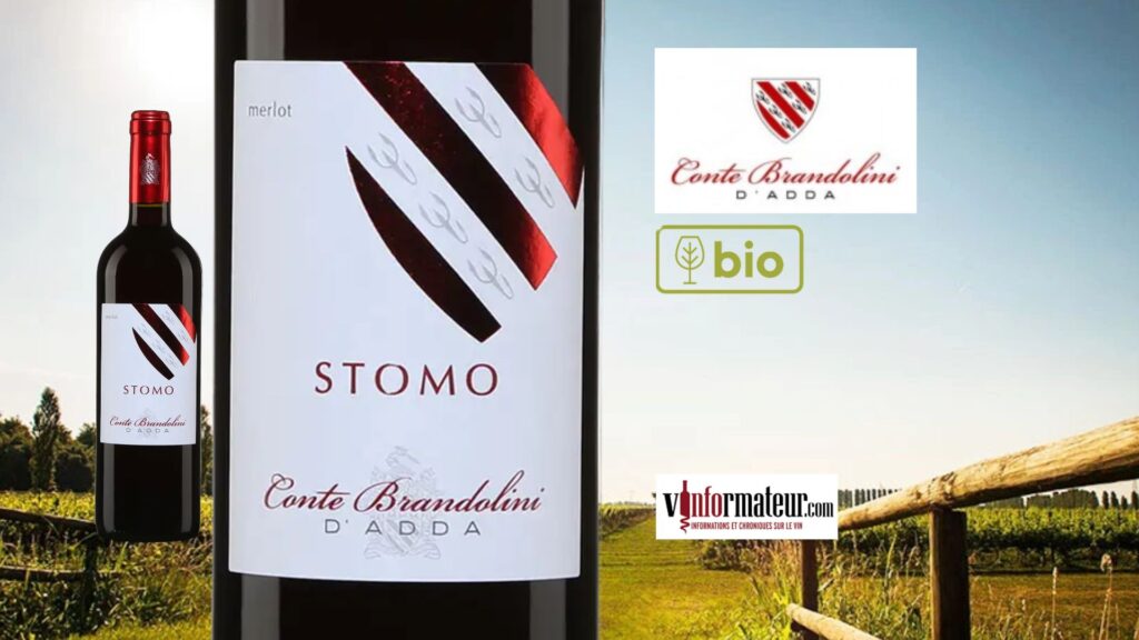 Stomo, Merlot, Italie, Friuli Grave DOC, Conte Brandolini d’Adda, vin rouge bio, 2019 bouteille