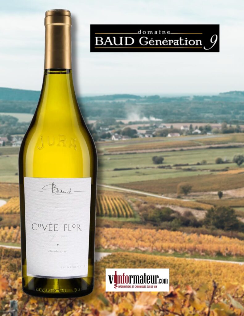 Domaine Baud, Cuvée Flor, Côtes du Jura, vin blanc, 2020 bouteille