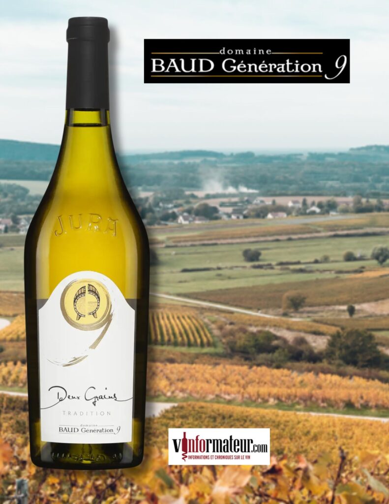 Domaine Baud, Cuvée Deux Grains de Paradis, Côtes du Jura, vin blanc, 2019 bouteille