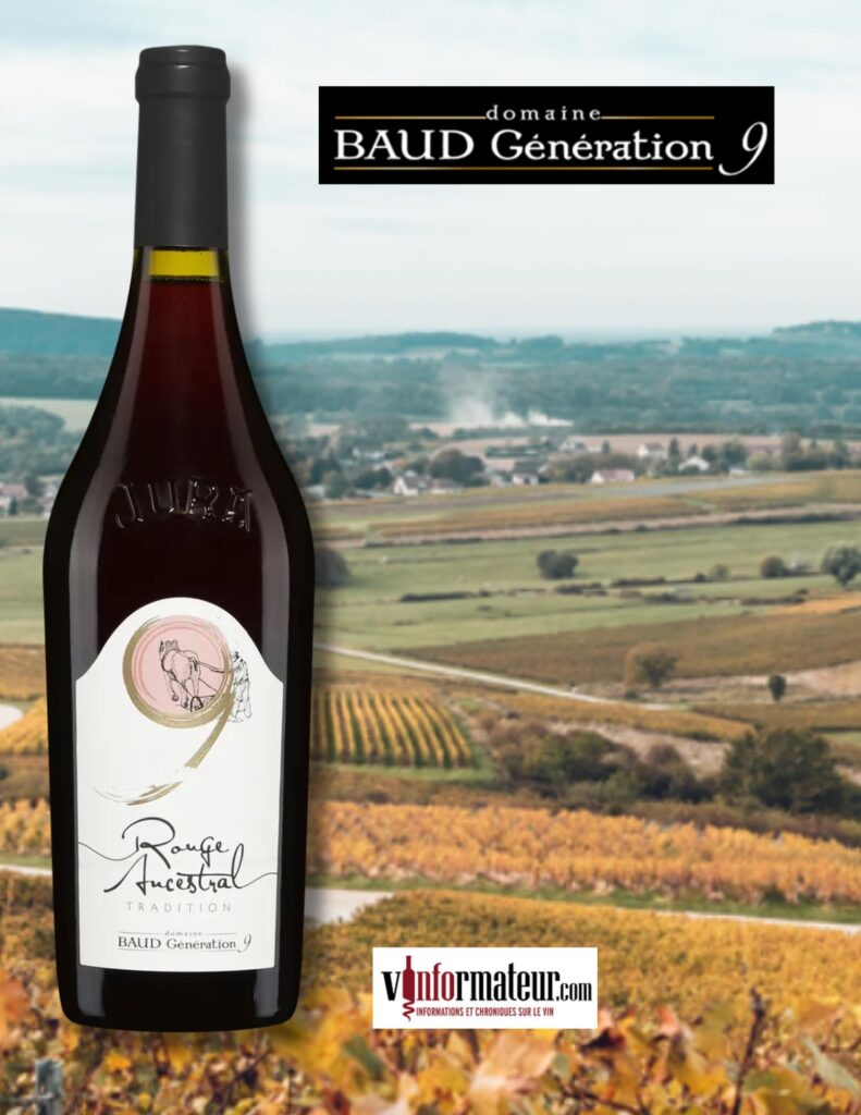 Domaine Baud, Ancestral, Cotes du Jura, vin rouge, 2020 bouteille