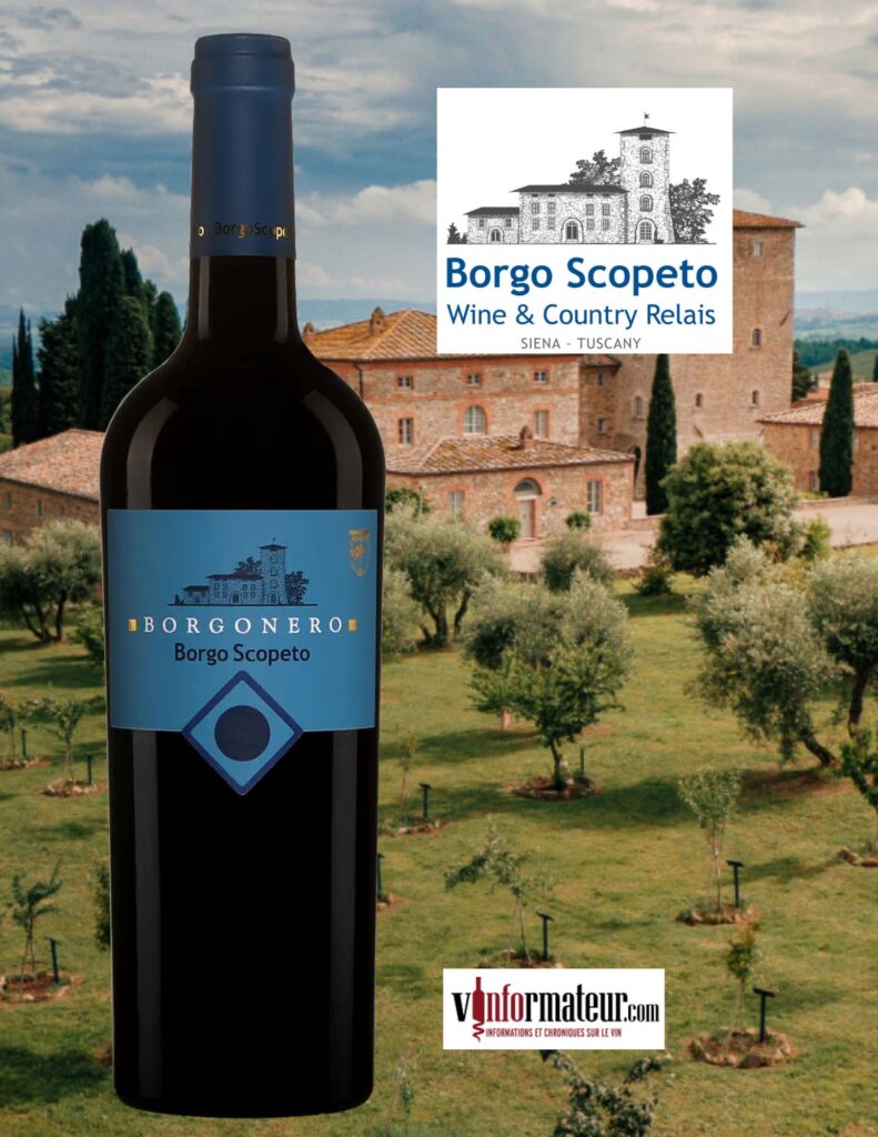 Borgonero, Borgo Scopeto, Toscana IGT, vin rouge, 2020 bouteille