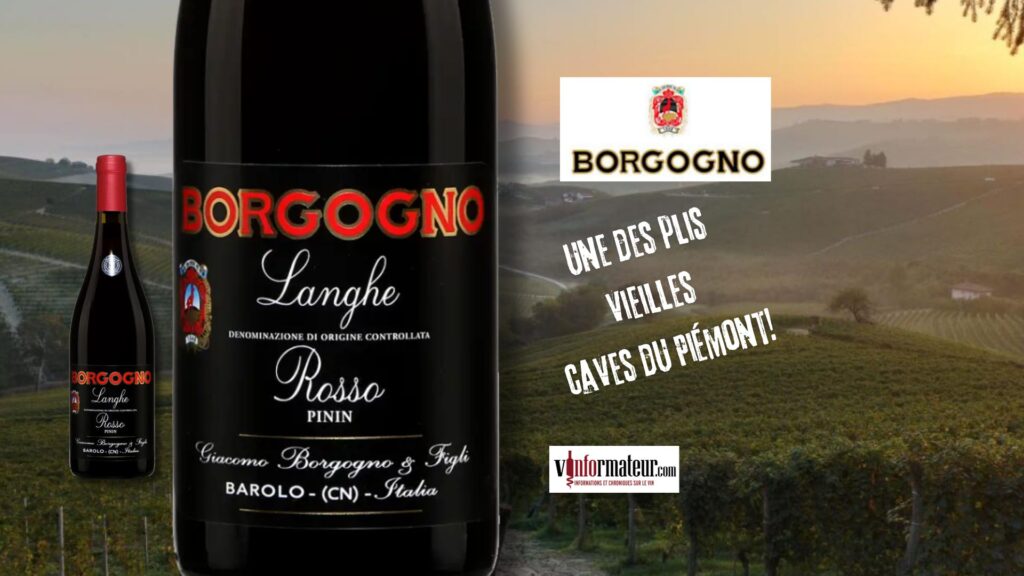 Borgogno, Italie, Langhe Rosso Pinin, vin rouge, 2022 bouteille