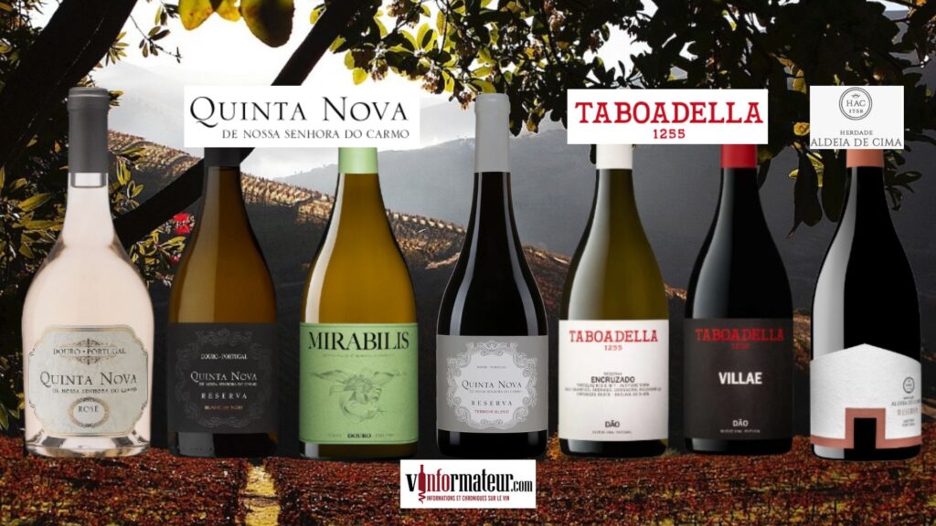 Dégustation des vins de Quinta Nova, Taboadella et Herdade Aldeia au restaurant Portus bouteilles