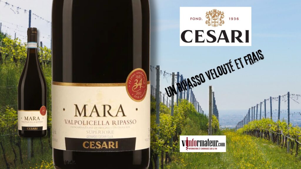 Mara, Italie, Vénétie, Valpolicella Ripasso Superiore DOC, Gerardo Cesari, vin rouge, 2020 bouteille
