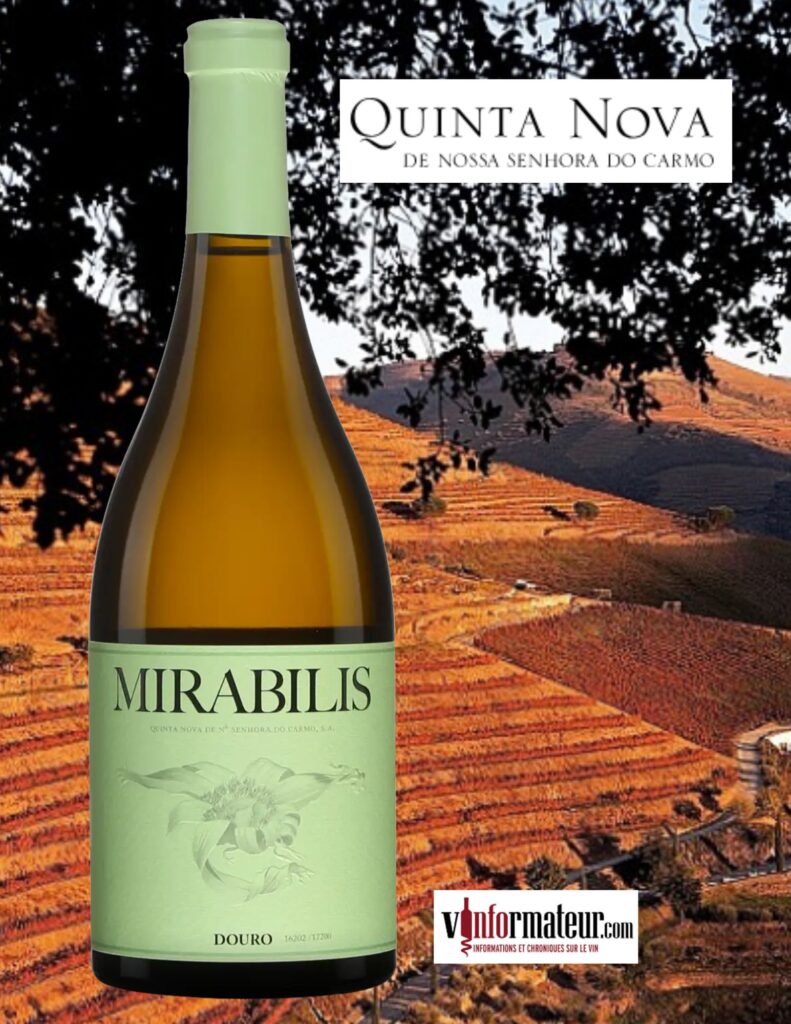 Quinta Nova, Miarabilis branco bouteille