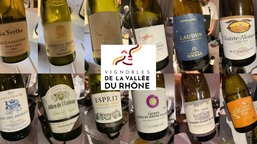 Plusieurs coups de cœur parmi les vins blancs de la Vallée du Rhône!