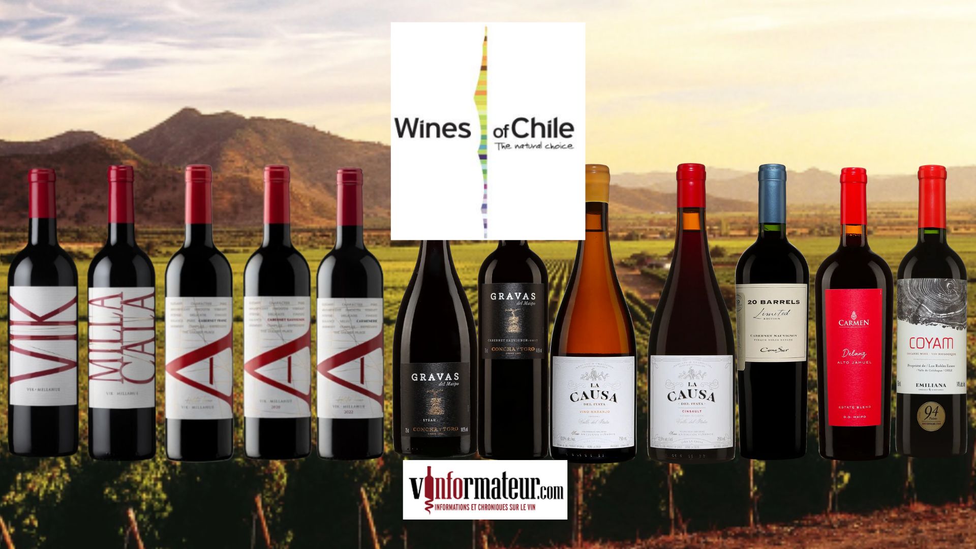 Les Vins du Chili Découvrez ma sélection des meilleurs vins Vinformateur