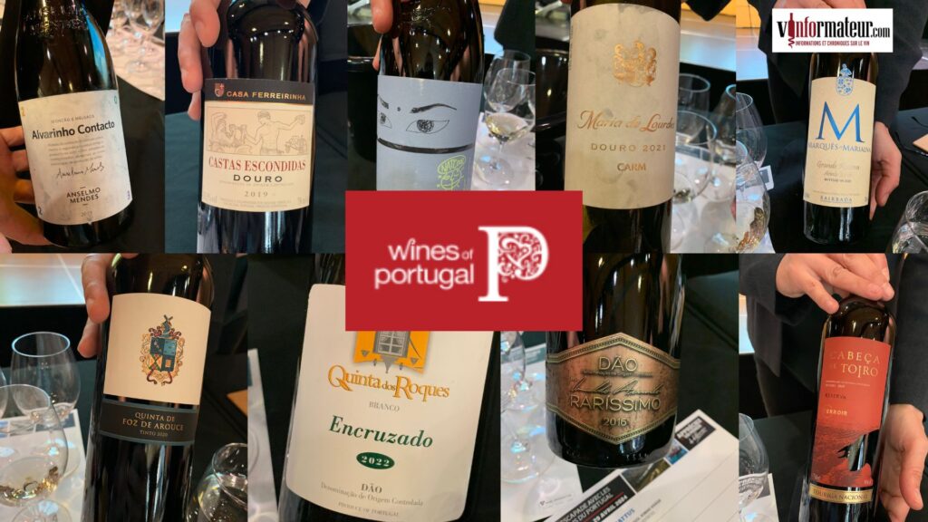 Les vins du Portugal! Un monde de trouvailles et de différences.