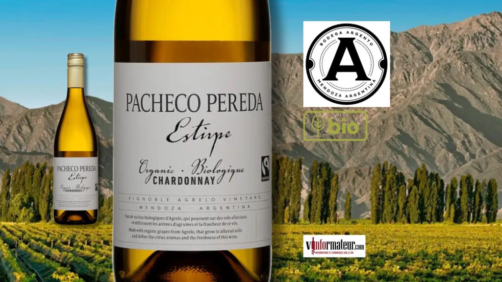 Un Chardonnay d’Argentine tout en altitude. Estirpe, Pacheco Pereda, 2021.