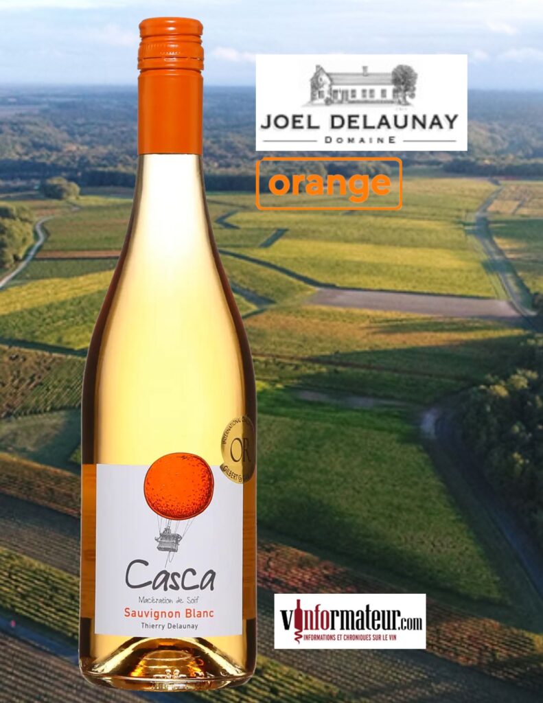 Casca, Sauvignon blanc, vin orange, France, Loire, Joel Delaunay, 2021 bouteilles