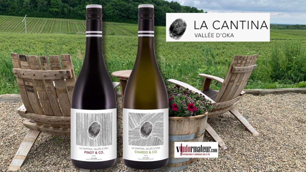 Harmonie, une toute nouvelle gamme de vins du Vignoble La Cantina. Des rapports qualité/prix inégalés au Québec.