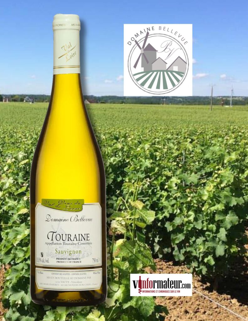 Domaine Bellevue, Sauvignon blanc, France, Touraine, vin blanc, 2023 bouteille